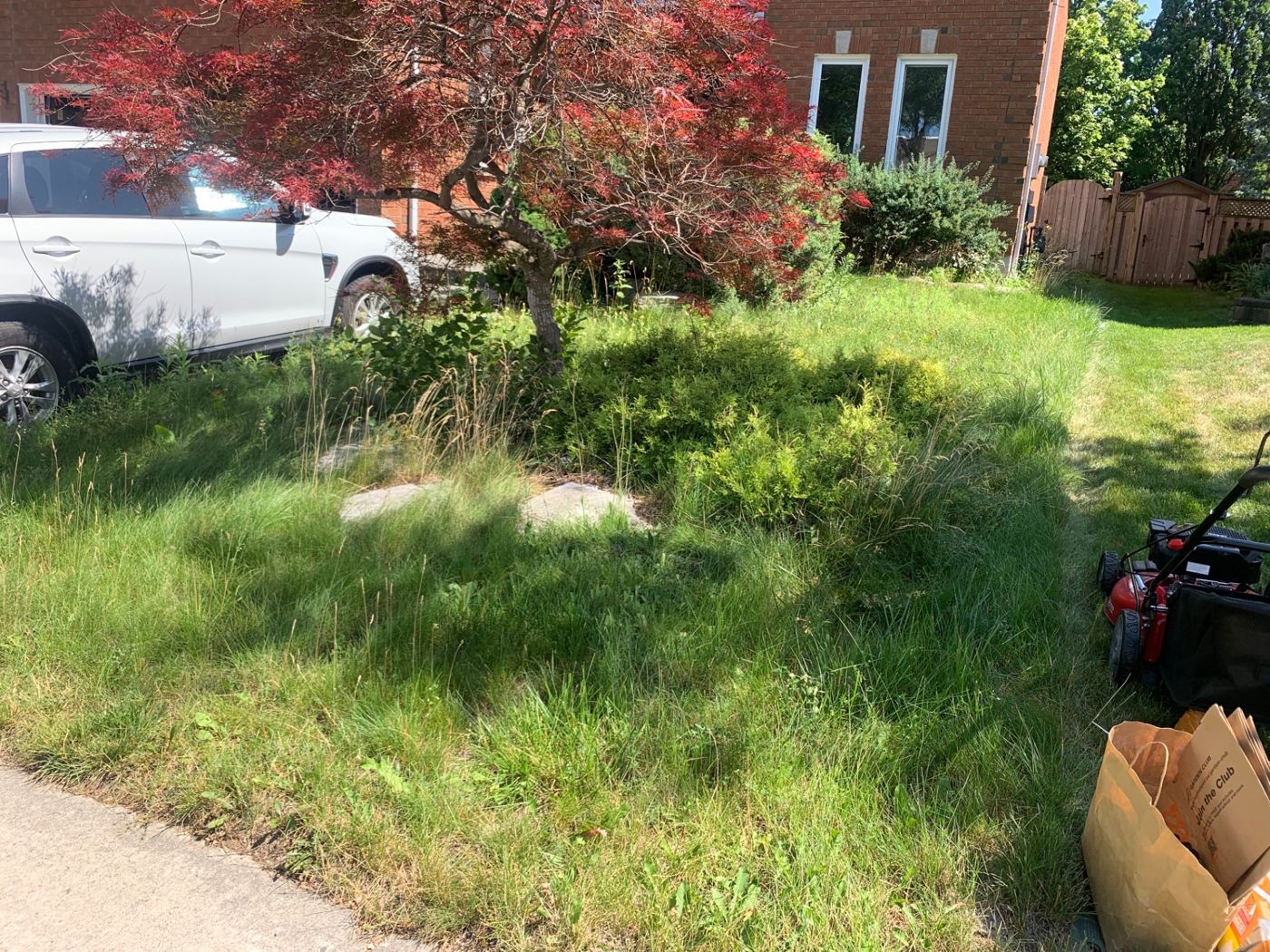 razorshap landscaping project: Maple yard reclaim