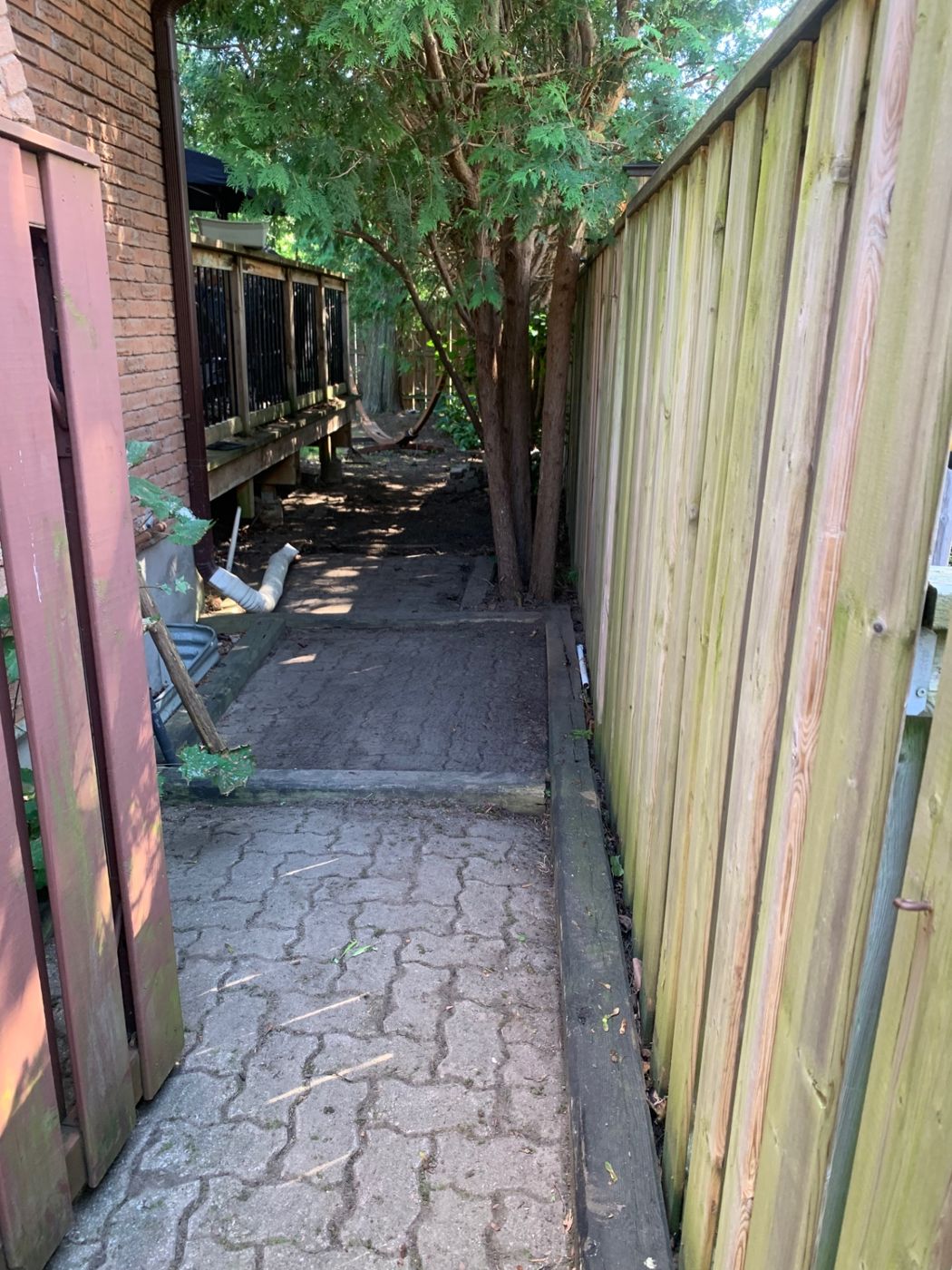 razorshap landscaping project: Side yard cleanout