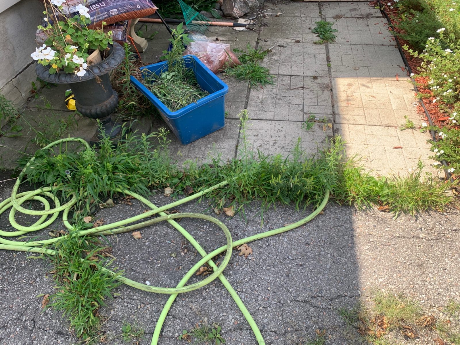 Paver patio weeding before razorshap service