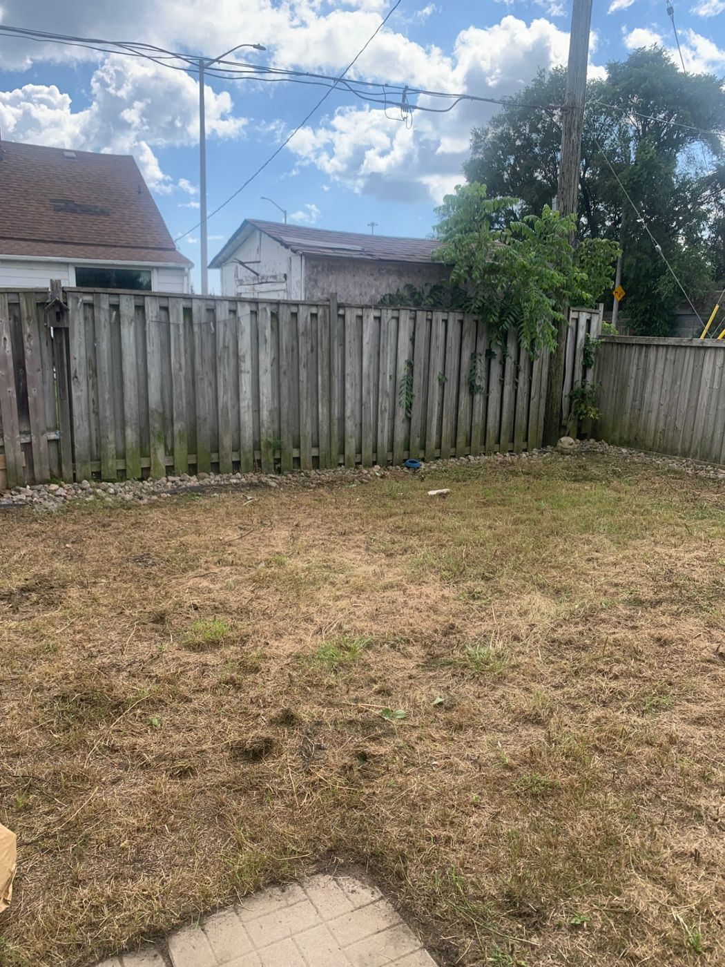 razorshap landscaping project: Full yard cut-down
