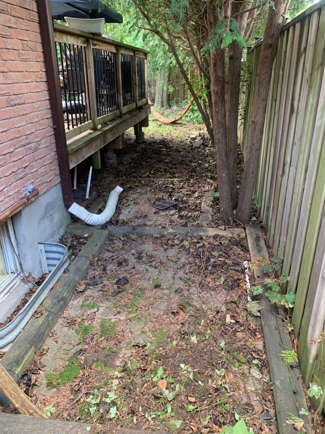 razorshap landscaping project: Neglected side strip