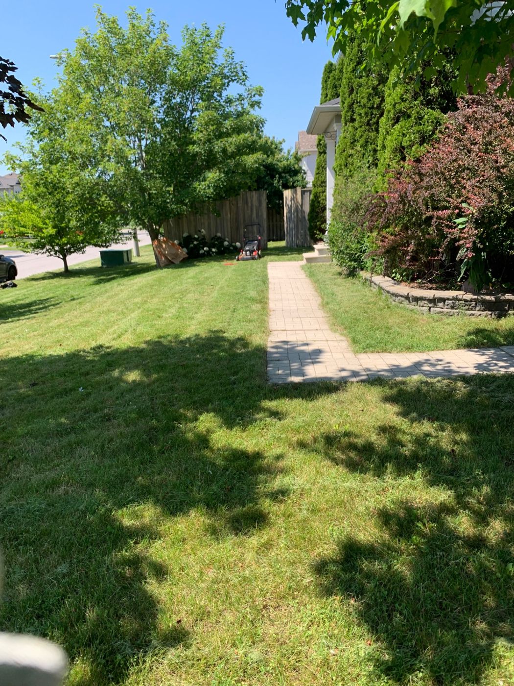 razorshap landscaping project: Front lawn striping