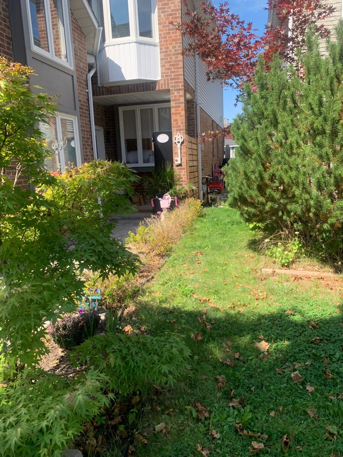 Side yard bed re-edge before razorshap service