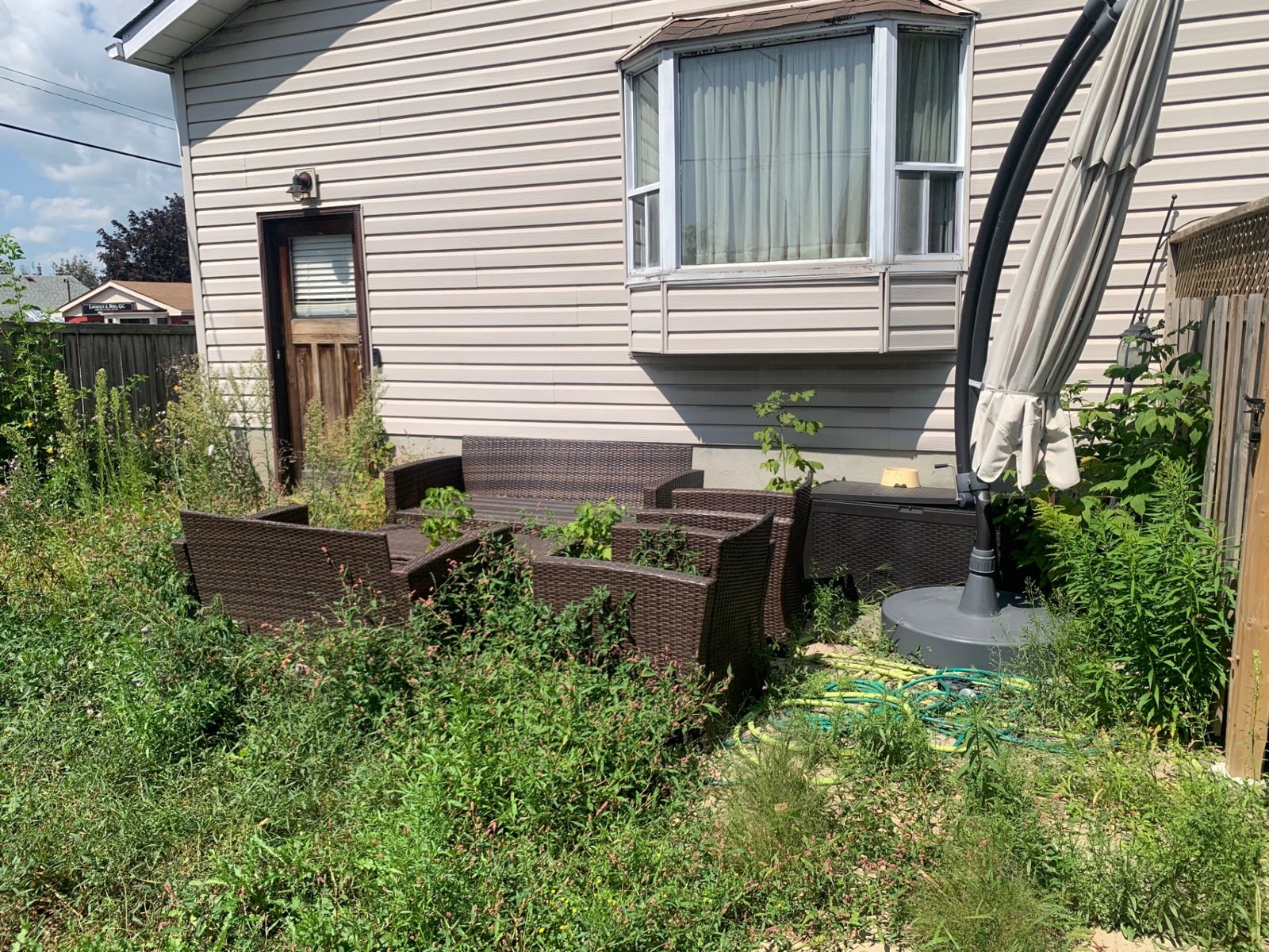 Overgrown patio reclaim before razorshap service